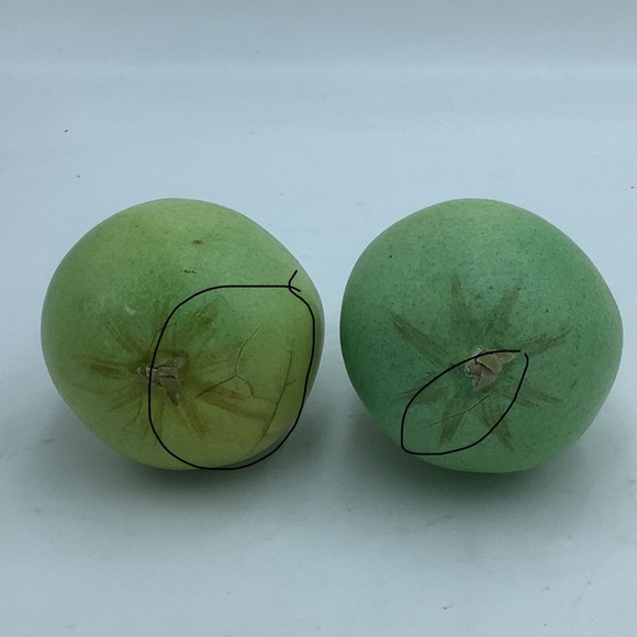 Eleven Assorted Faux Fruits - Picture 16 of 16